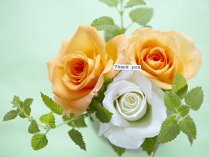 パワーストーンの卸通販なら銀座東道が便利で利用しやすいです